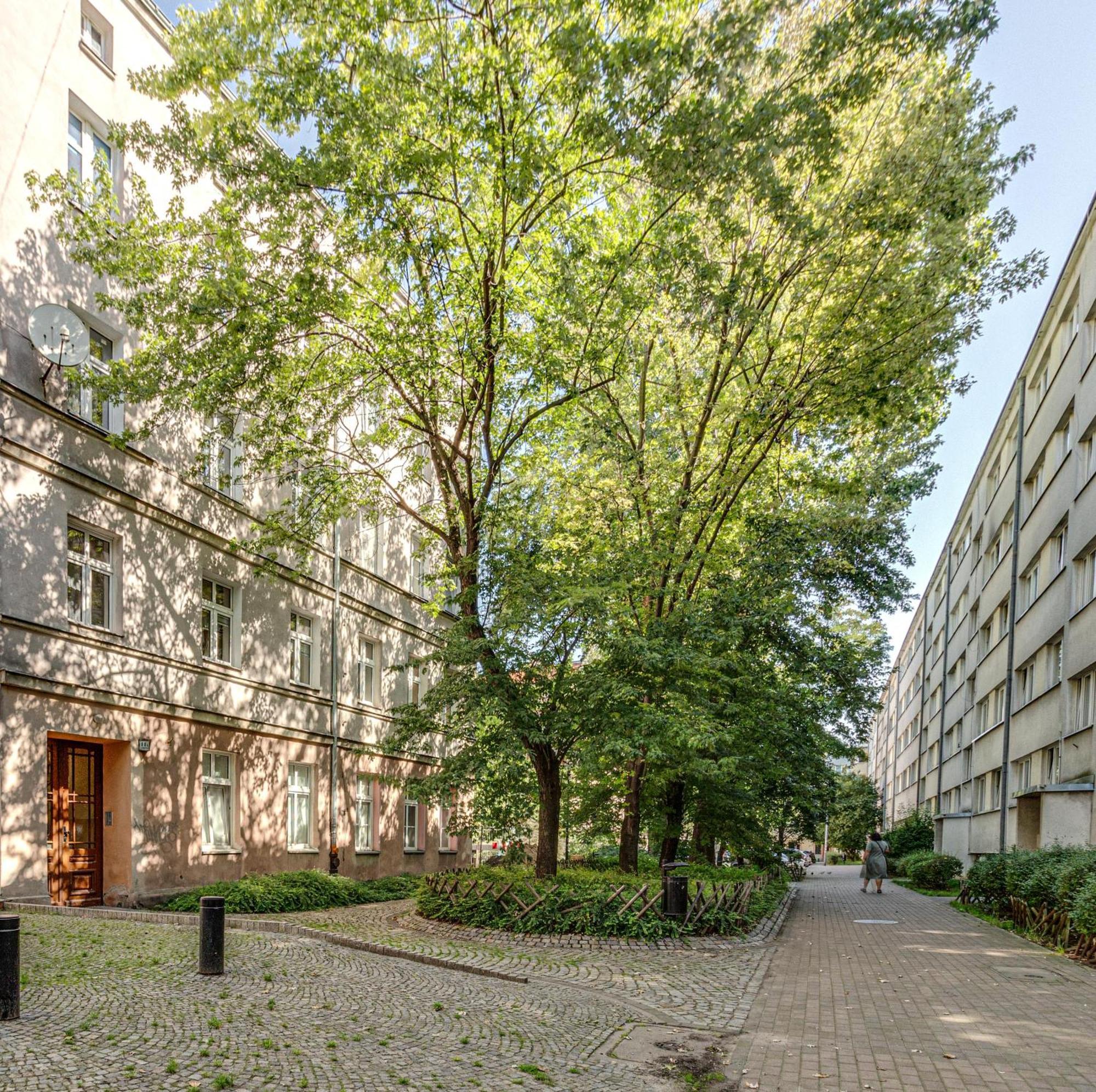 Rentplanet - Studio Nadodrze Breslávia Exterior foto